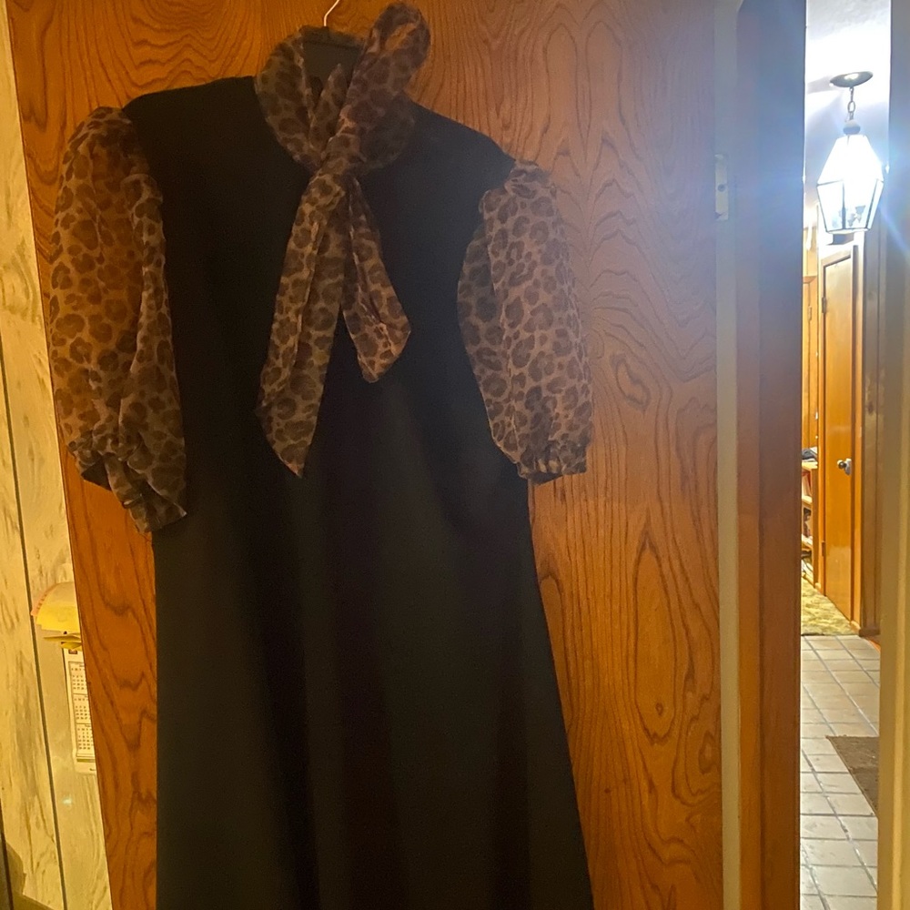 Organza Puff Sleeve dress